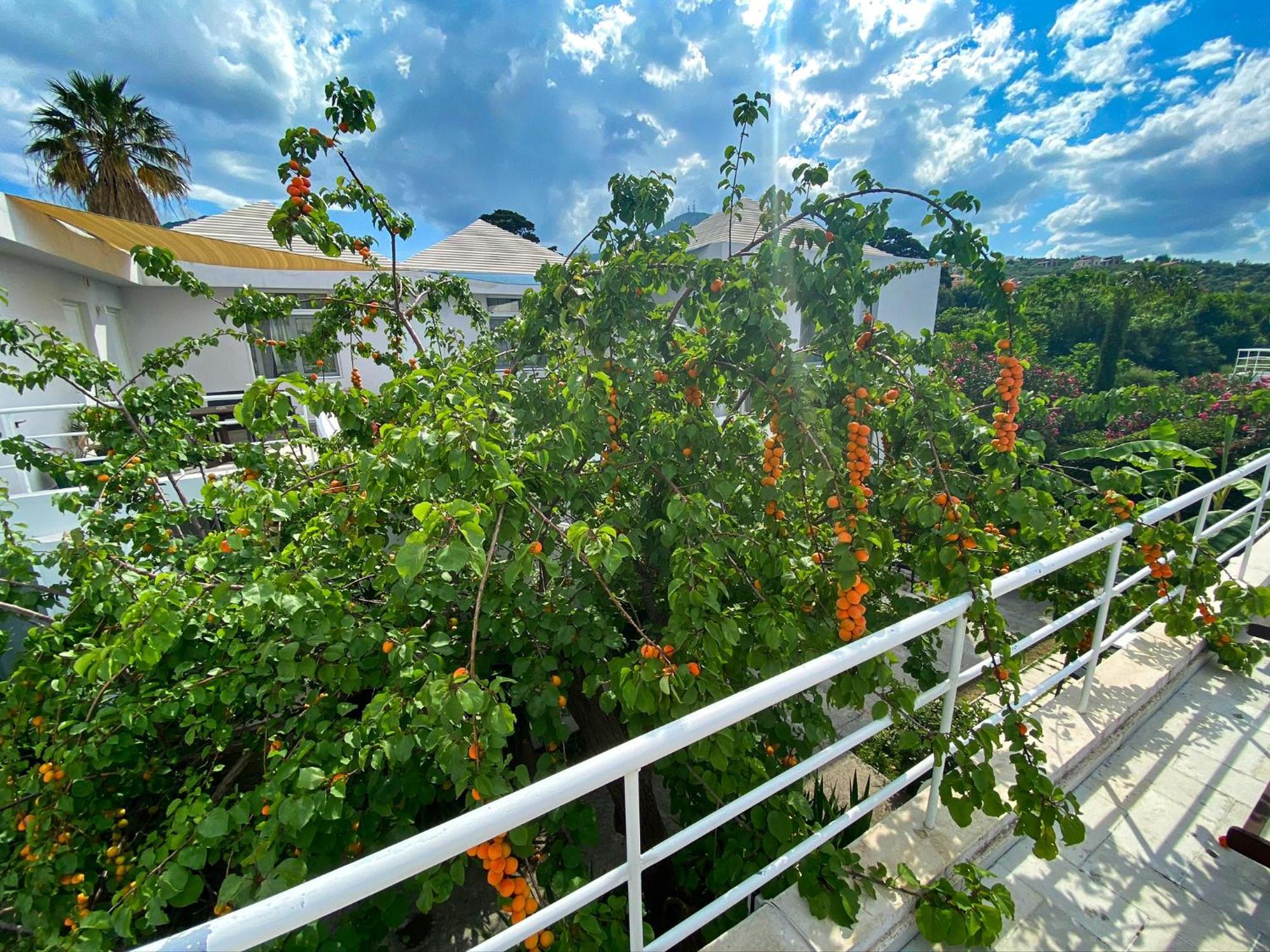 The Loriet Aparthotel Mytilene Luaran gambar